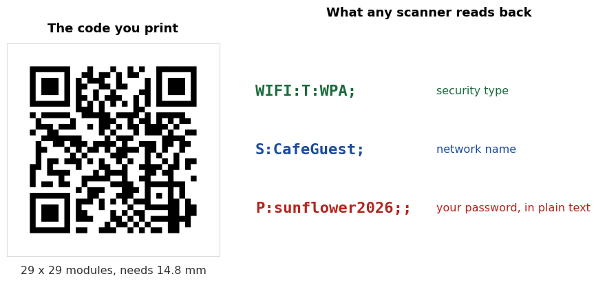 A WiFi QR code beside the text it contains. The code is 29 by 29 modules and needs 14.8 mm. The text reads WIFI colon T colon WPA semicolon, which is the security type, then S colon CafeGuest semicolon, which is the network name, then P colon sunflower2026 semicolon semicolon, which is the password in plain text.